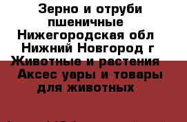 Зерно и отруби пшеничные - Нижегородская обл., Нижний Новгород г. Животные и растения » Аксесcуары и товары для животных   